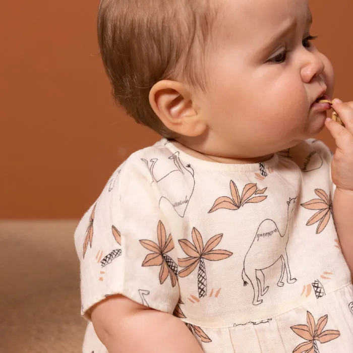 Petit Bateau Baby Dress Avalanche Cream With Camel Print