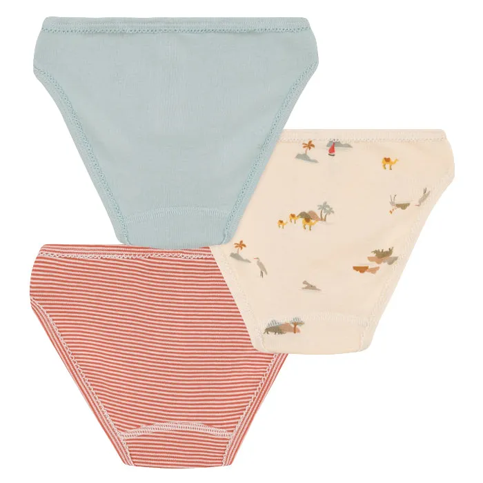 Petit Bateau Child Set Of Three Underwear Desert Print